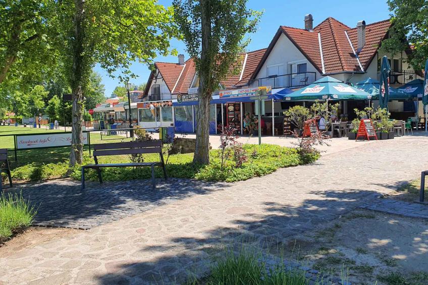 Vakantiewoning met Wifi, airconditioning en tuinpaviljoen - VW-T6TGX - foto 22