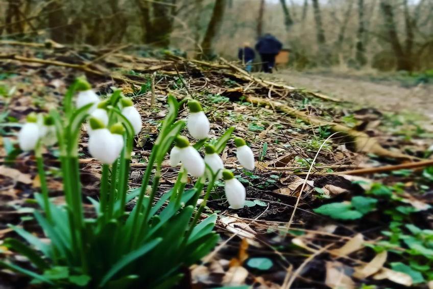 Holiday Home Paunovaca - Two Bedroom Holiday Home - foto 21