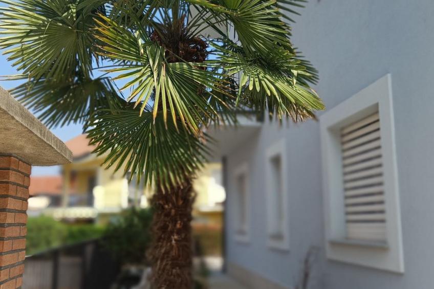 Lucà Wohnungen mit Bergblick - foto 26