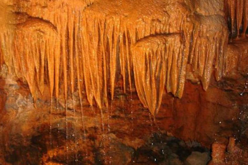 Landhaus "Alcobaca Villa" - foto 38