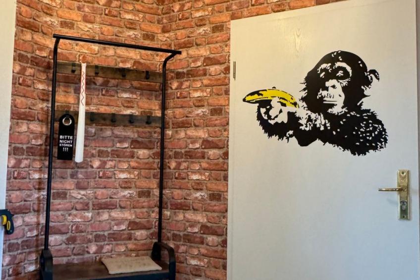 Design Apartment I, hell, 35 Quadratmeter, Zentral zu Grenze Altstadt Park, Gra - foto 5