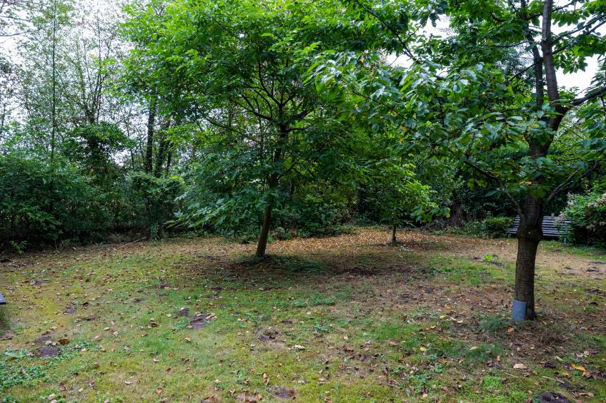 De Hagmolenbeek Boekelo - foto 37