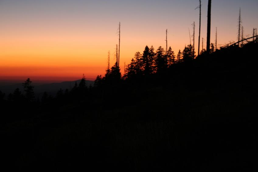 Bayerischer Wald - foto 32