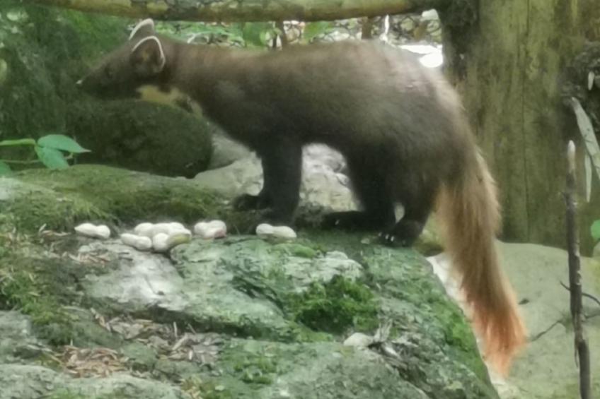 AnNo Wohlfühlen Bach - foto 34