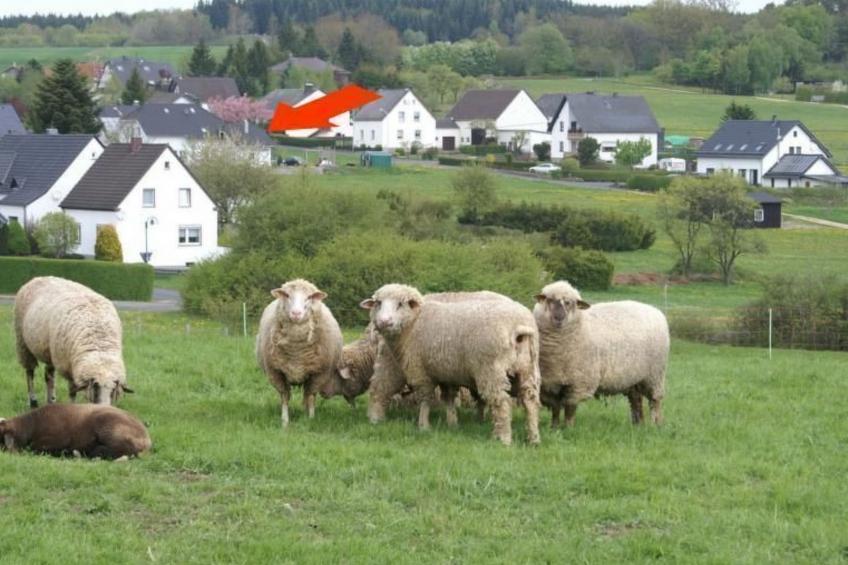 Gemütliche Maisonette Wohnung Seelenblick - foto 15