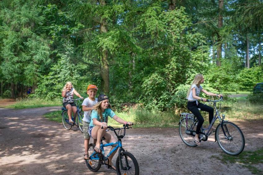 RCN Vakantiepark de Roggeberg 10 - foto 39