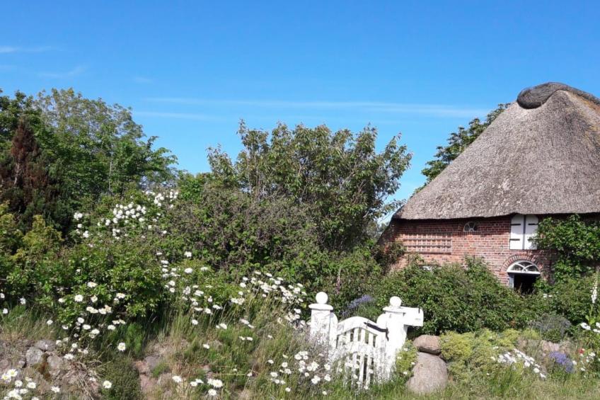 Fewo Meeresbrise - foto 17