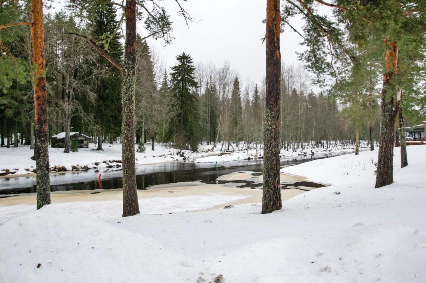 Kartanohuoneisto heikki - foto 13