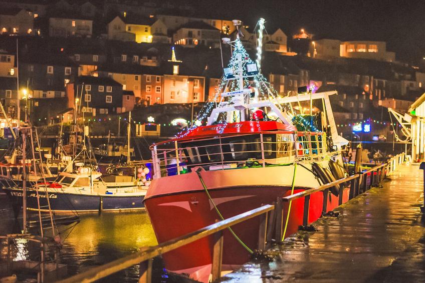 Dolphin Cottage - foto 41