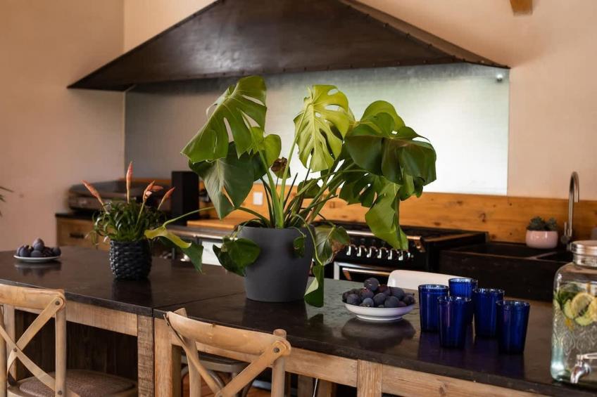 Charmant Mas Provençal avec piscine et jacuzzis - foto 6