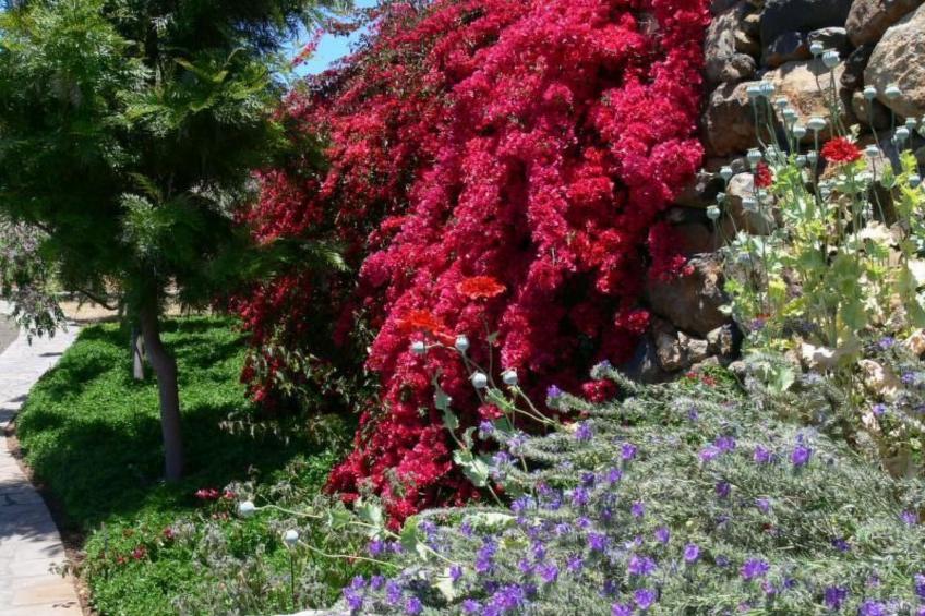 Nettes Ferienhaus in Tijarafe mit Privatem Pool und Panoramablick - foto 32