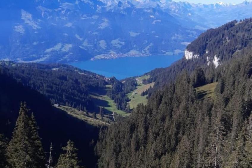 Chalet Lilo Big view - foto 27