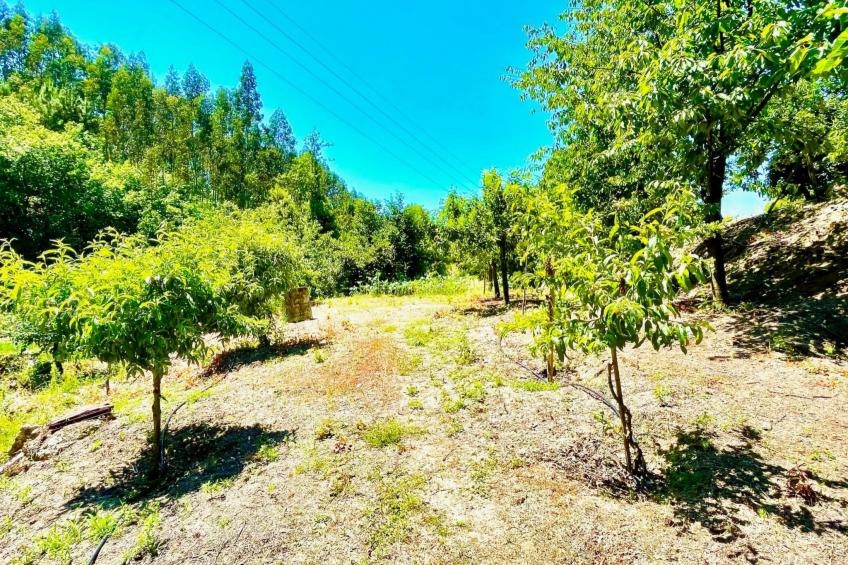 Charmantes Haus in Penafiel Douro-Tal - foto 40