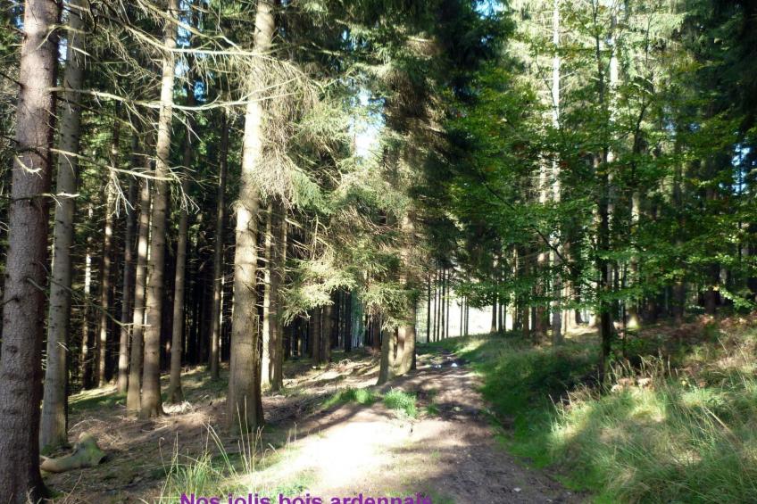 Ardennen Ferienhaus 5 Zimmer 5 Bad 14 Pers Zugang Chaisards - foto 47