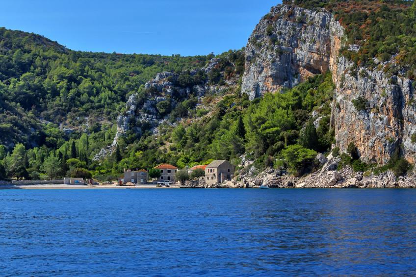 Rubin - foto 23