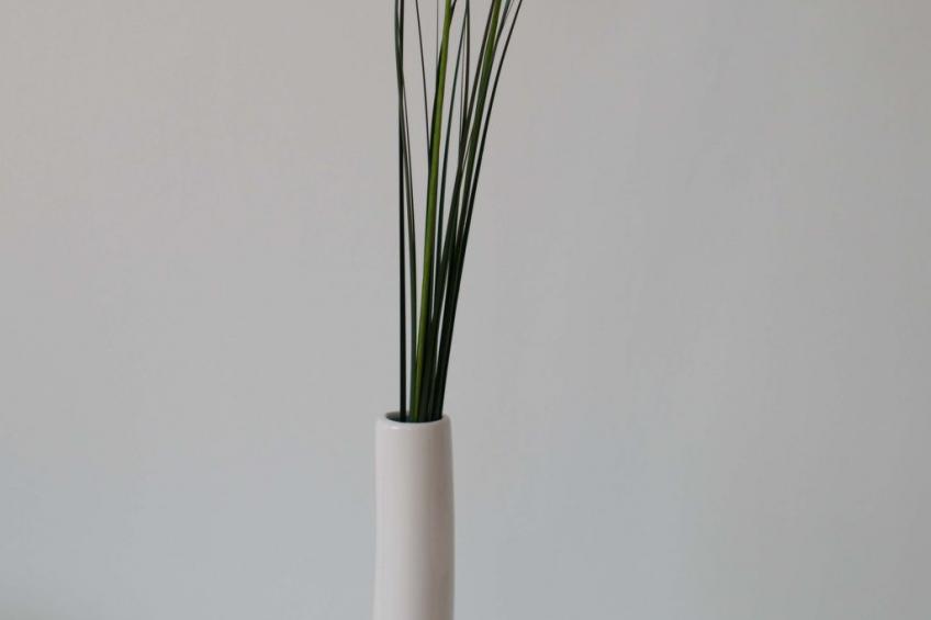 Tolle Ferienwohnung in Zasip mit Parkplatz - foto 33