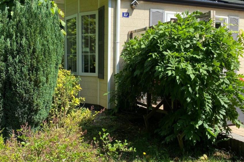 Ferien in Wageningen - foto 32