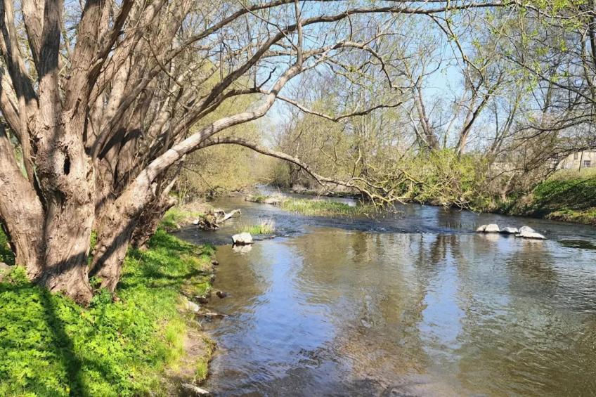 Ferienwohnung Weitblick - foto 26