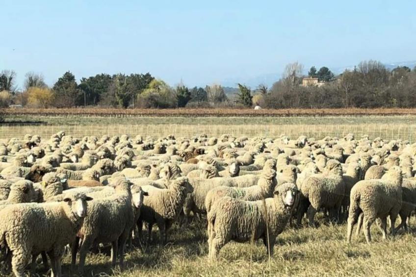 Mas La Miellerie | Charme Authentique Et Nature - foto 71