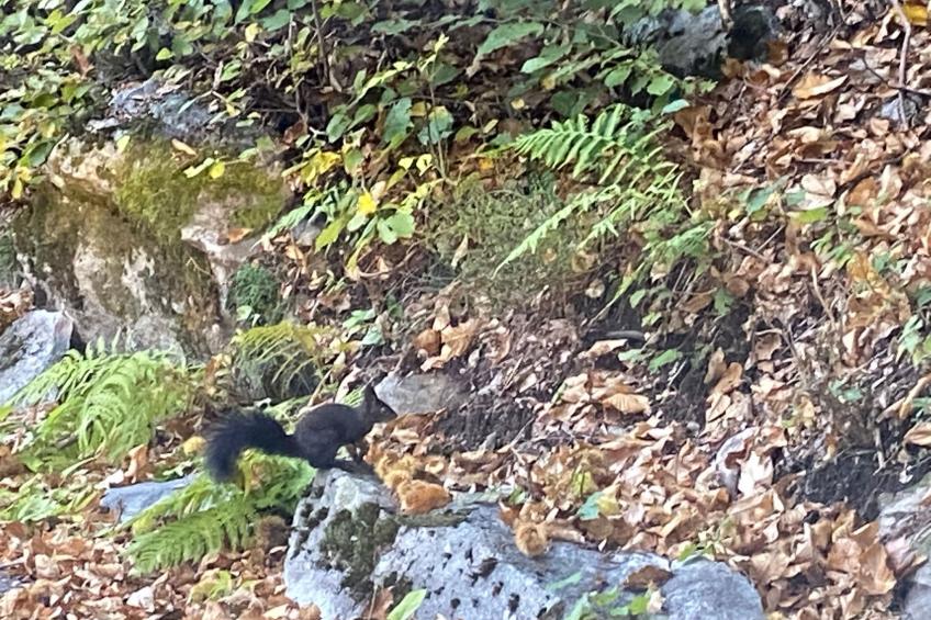 Rustico Monti di Rima - foto 22