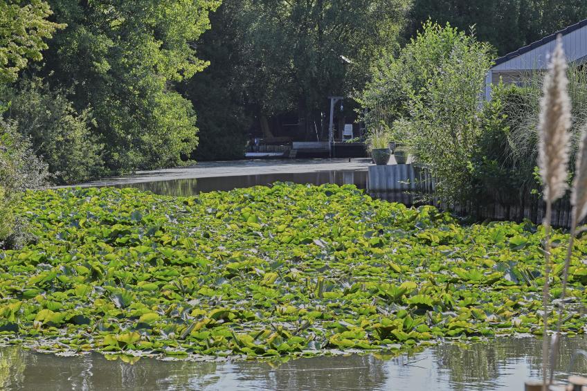 Ooievaarsnest - foto 40