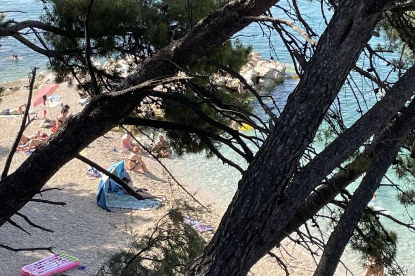 Kinderfreundliches Appartement mit Garten - foto 16