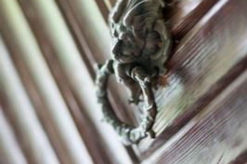 Jägerhaus - foto 17