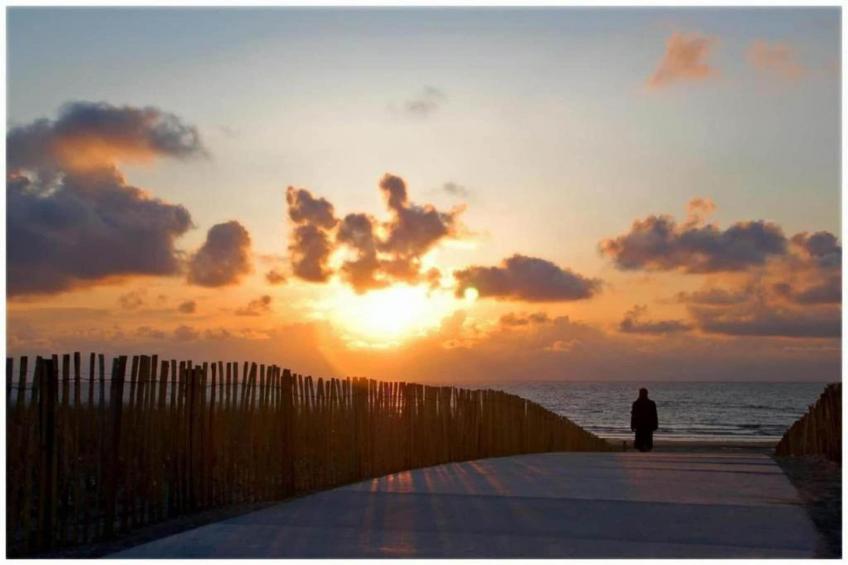 Vakantiepark Duinrust 3 - foto 32