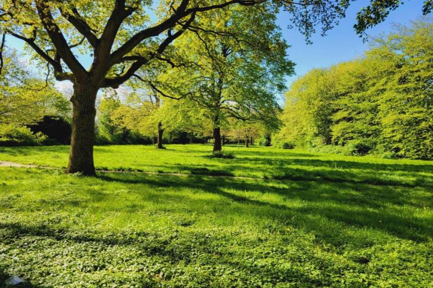 Ferienwohnung Der Anker - foto 28