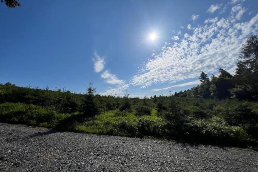 Im Ries III - foto 40