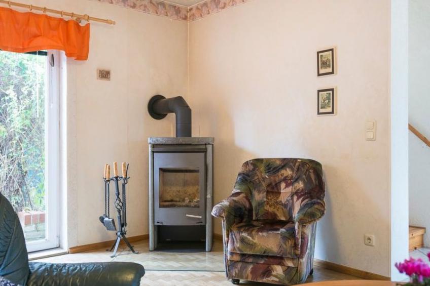 Löwenzahn mit Holu - foto 8