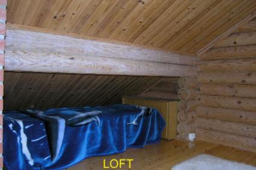 Koivurinne - foto 14