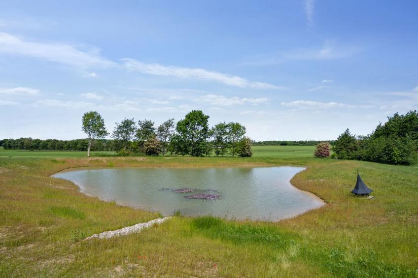 "Malinda" - 500m from the sea in SE Jutland - foto 9