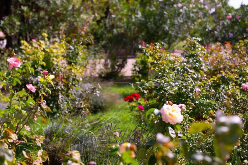 Charmant Mas Provençal avec piscine et jacuzzis - foto 106