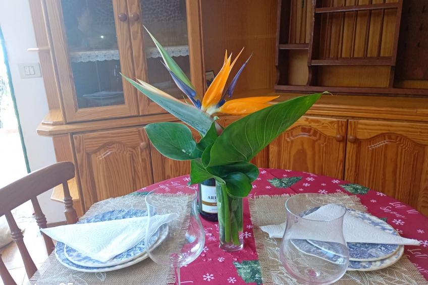 "El pajal House Relax" - foto 21