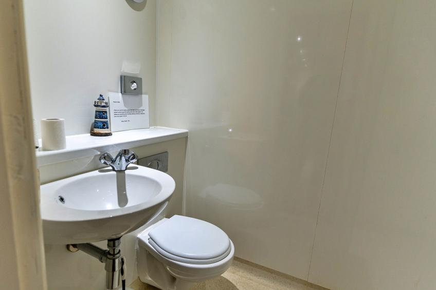 Jenny Wren - foto 15