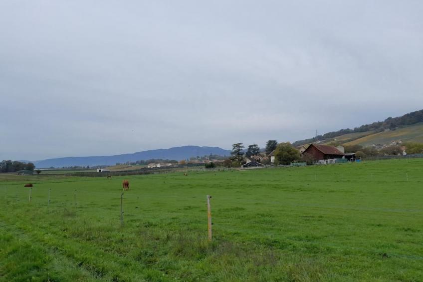 in Bauernhof - foto 22