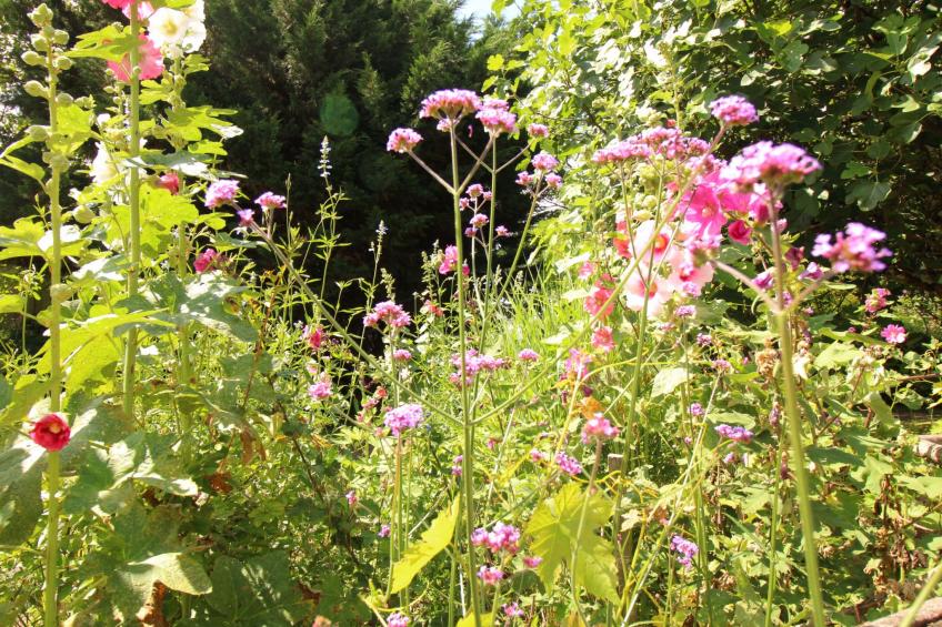 Komfort, Ruhe, privater Pool, EV-Ladestation - foto 24