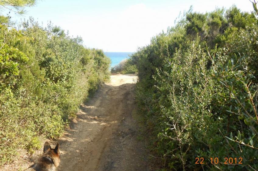 Wohnung mit Jacuzzi - foto 38