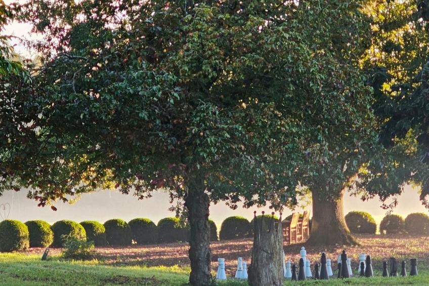 Luxuszeit zu Zweit - foto 31