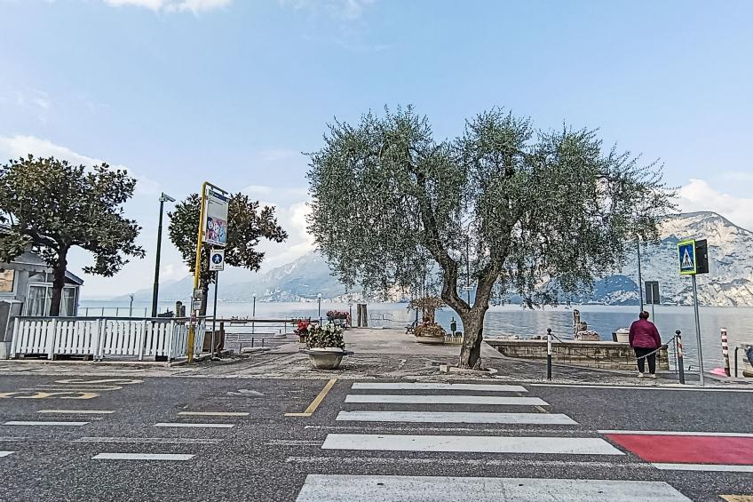 Vista Lago Consolini - foto 27