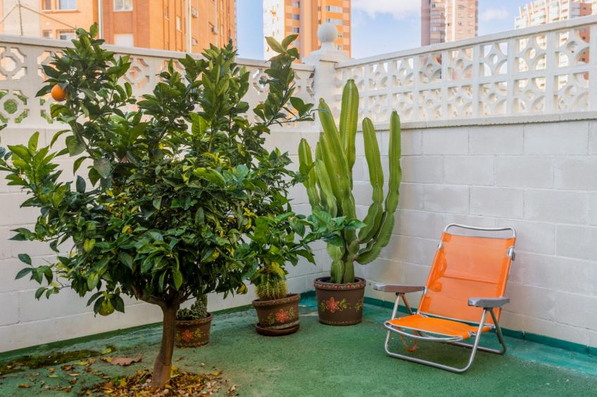 Rinconada Real - foto 4