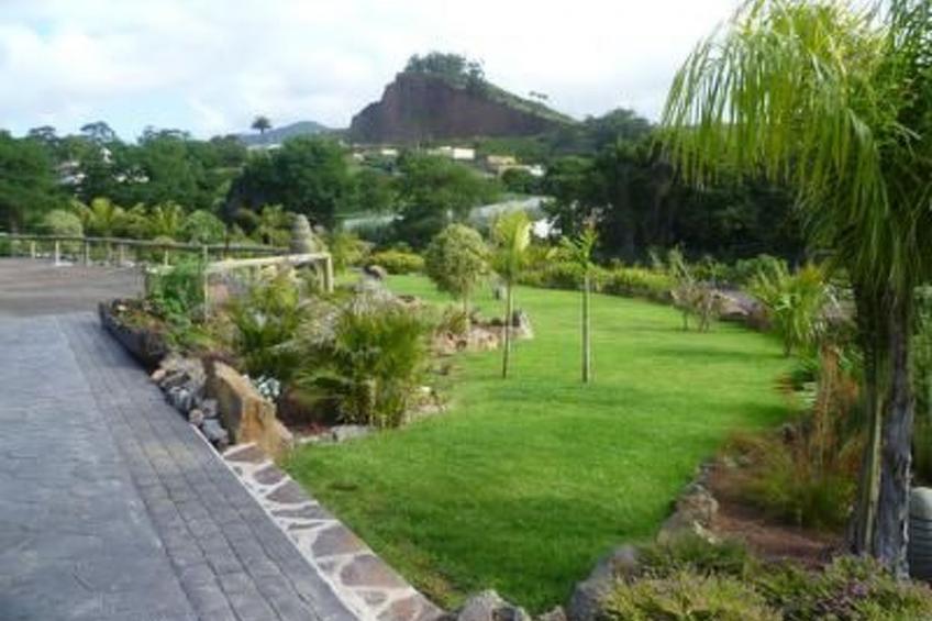 Finca Los Vinedos - foto 14