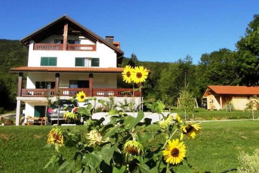 Ferienwohnung Unterkunft in einer ruhigen Lage - BF-BM3CT