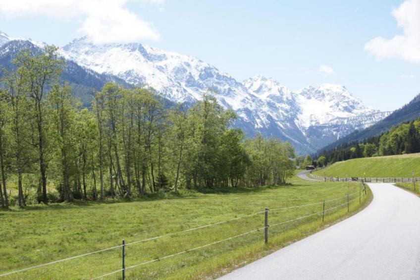 Alpine Lodge XL - foto 22