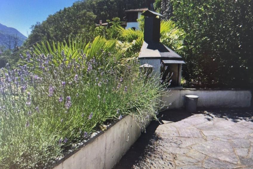 La Quercia - foto 30