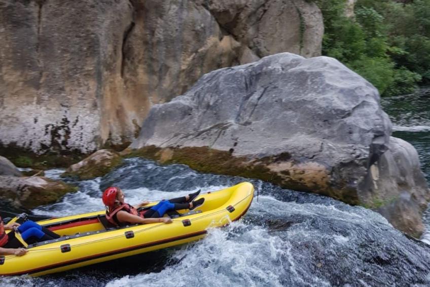 La Finca OliveTree - foto 50