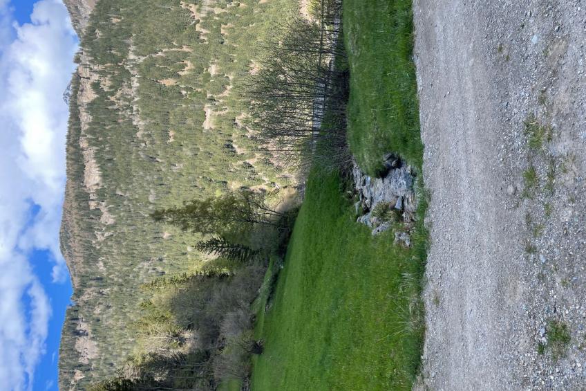 Maiensäss La Scera - foto 46