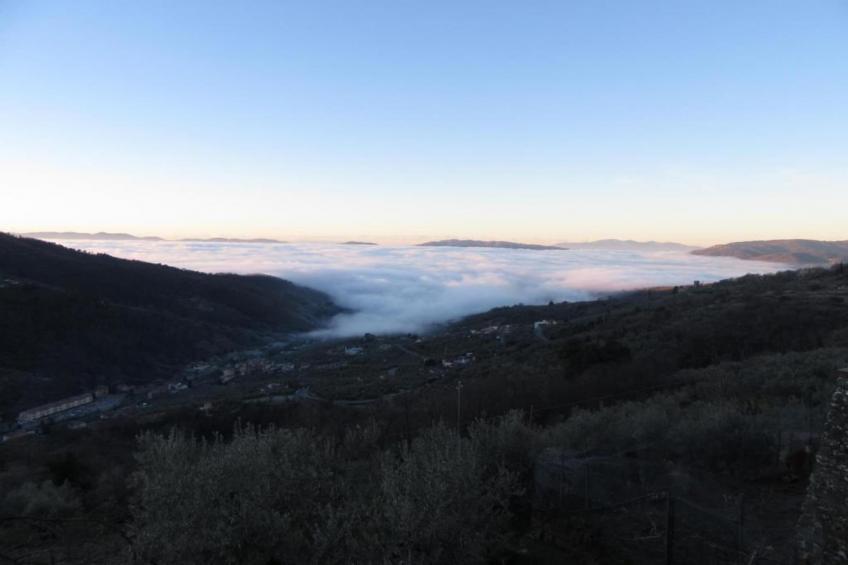 Caprioli - foto 31