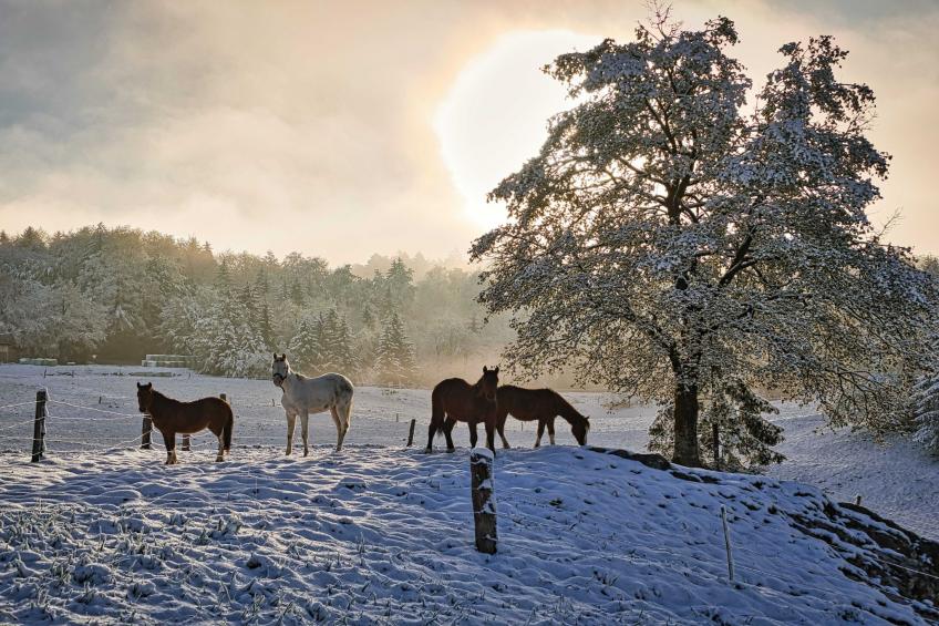 Visnja Gora Meadow Hideaway with Terrace - One Bedroom Cottage with Terrace (owner Hiška na skalci) - foto 52